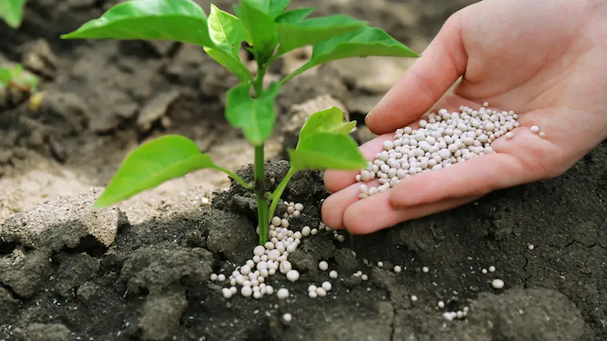 Categoría de Sustratos y Fertilizantes