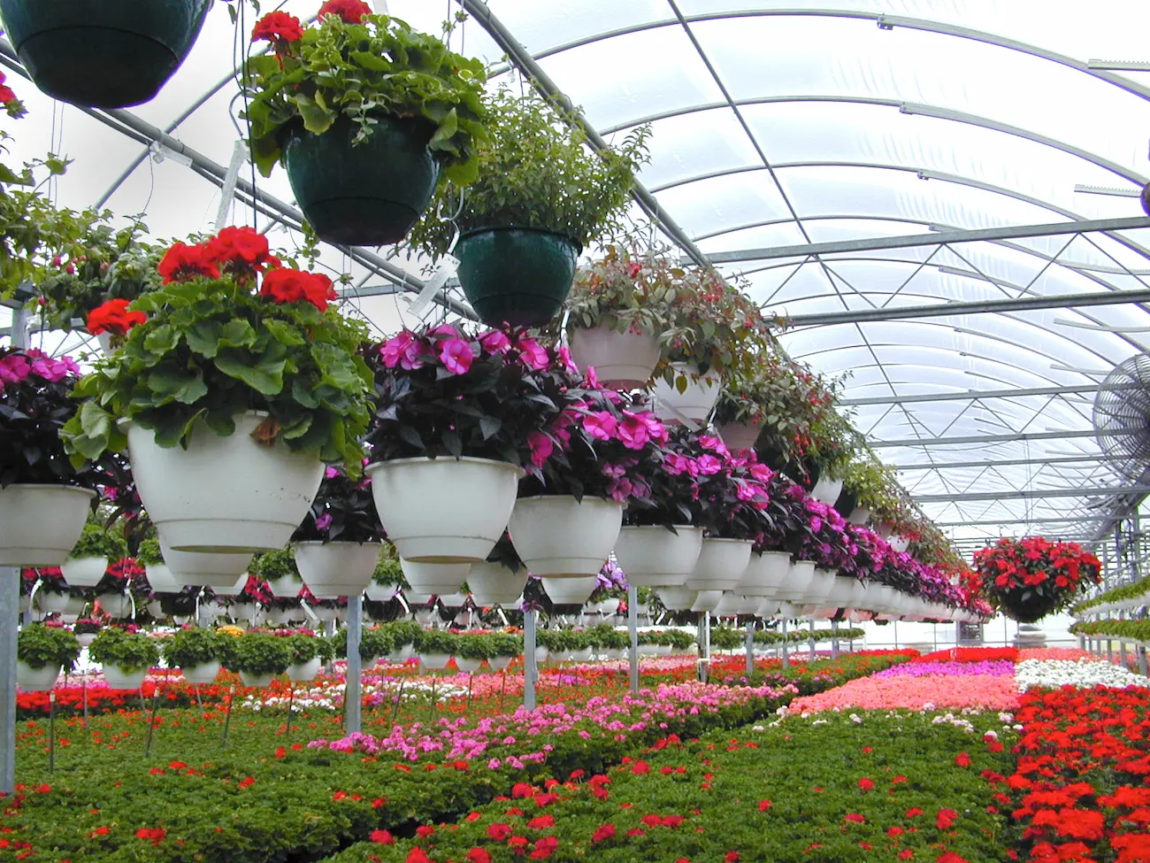 Imagen de floricultura