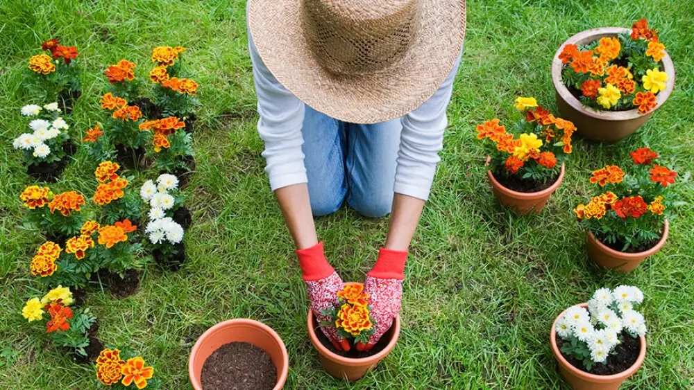 Imagen de jardinería